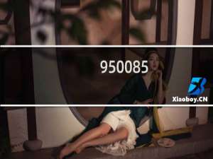 950085.com被停止解析