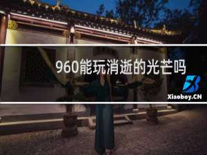 960能玩消逝的光芒吗