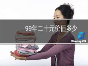 99年二十元价值多少