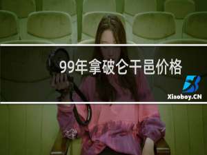 99年拿破仑干邑价格
