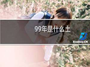 99年是什么土