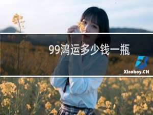 99鸿运多少钱一瓶