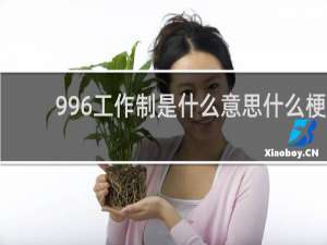 996工作制是什么意思什么梗