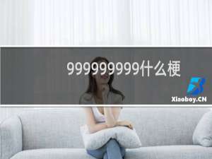 999999999什么梗