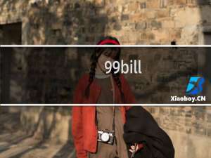 99bill.name 怎么显示过期