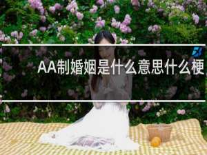 AA制婚姻是什么意思什么梗