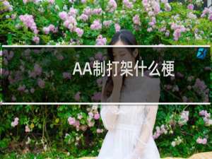 AA制打架什么梗？什么梗