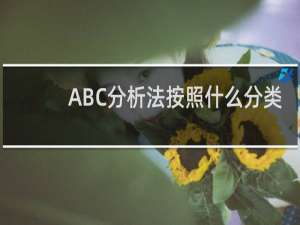 ABC分析法按照什么分类