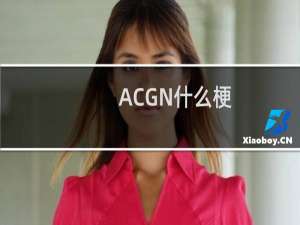 ACGN什么梗