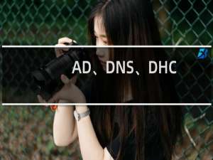 AD、DNS、DHCP、IIS、WINS的形象定义及关系