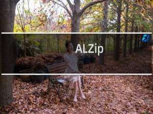 【ALZip】免费ALZip软件下载