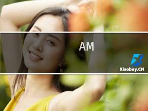 【AM-Notebook Lite】免费AM-Notebook Lite软件下载
