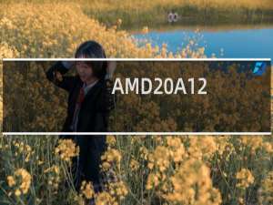 AMD A12-9800性能测试