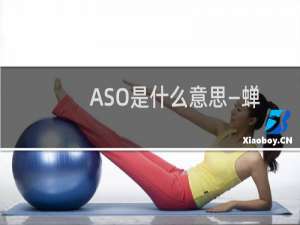 ASO是什么意思—蝉大师教程分享