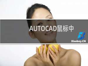 AUTOCAD鼠标中键不能平移图形怎么解决？