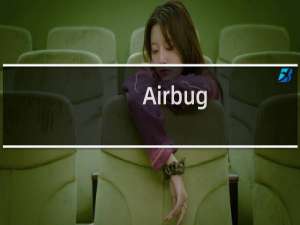 Airbug/空客人机对抗什么梗