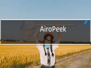 【AiroPeek（无线局域网分析工具）】免费AiroPeek（无线局域网分析工具）软件下载