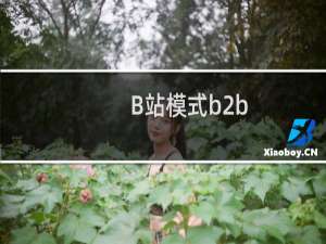 B站模式b2b