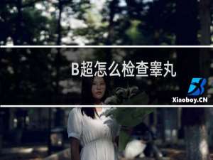 B超怎么检查睾丸（睾丸的B超检查怎么做）