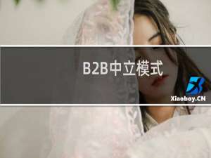 B2B中立模式