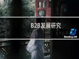 B2B发展研究