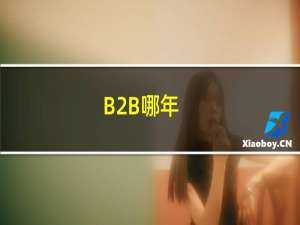 B2B哪年