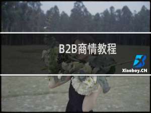 B2B商情教程