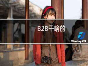 B2B干啥的
