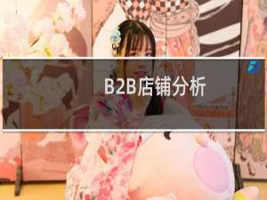 B2B店铺分析