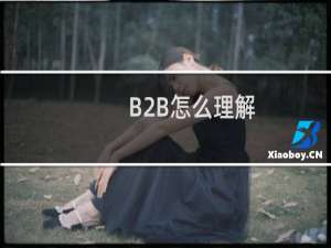 B2B怎么理解