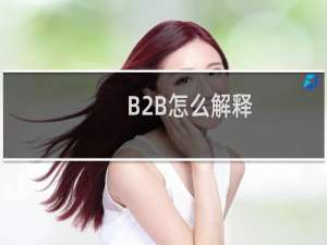 B2B怎么解释