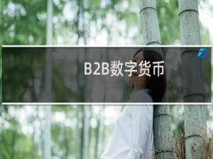 B2B数字货币