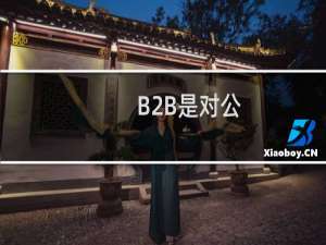 B2B是对公