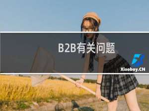B2B有关问题