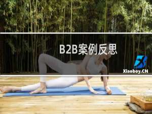 B2B案例反思