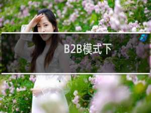 B2B模式下