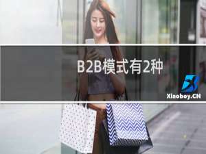 B2B模式有2种