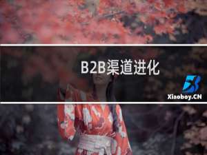 B2B渠道进化