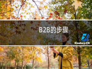 B2B的步骤