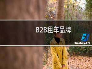 B2B租车品牌