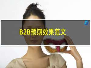 B2B预期效果范文