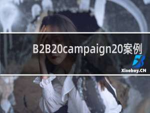 B2B campaign 案例