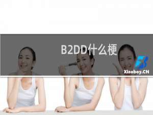 B2DD什么梗