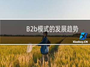 B2b模式的发展趋势