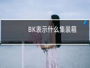 BK表示什么集装箱