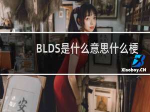 BLDS是什么意思什么梗