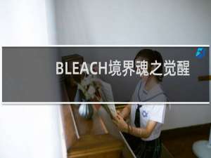 【BLEACH境界魂之觉醒（手游电脑版）】免费BLEACH境界魂之觉醒（手游电脑版）软件下载