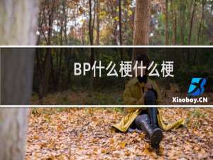 BP什么梗什么梗