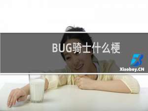 BUG骑士什么梗