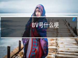 BV号什么梗